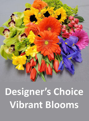 Designer's Choice Vibrant Blooms
